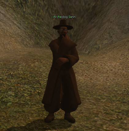 Archaeologist Senn