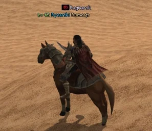 cavallo medio