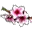 Peach Flower