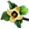 Kaki Flower