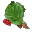 Gelso