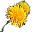 Soffione