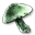 Fungo delle Grotte