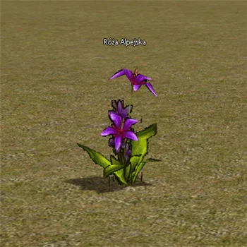 Rosa Alpina - ingame preview