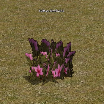 Blooming Fiore di Pesco - ingame preview