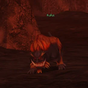 Rufus