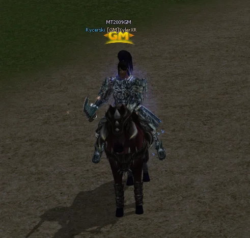 cavallo d'assalto