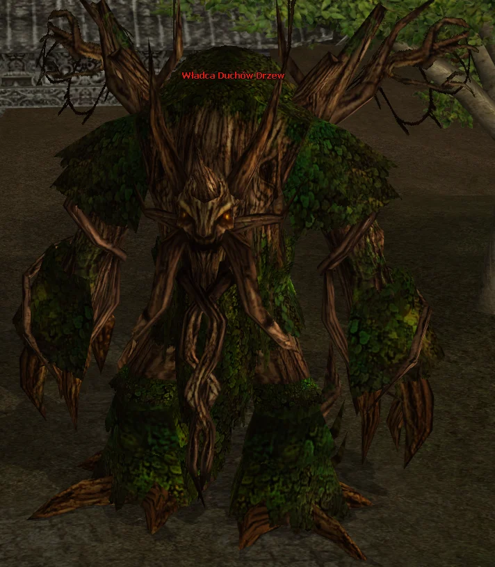 Signore Spirito Albero